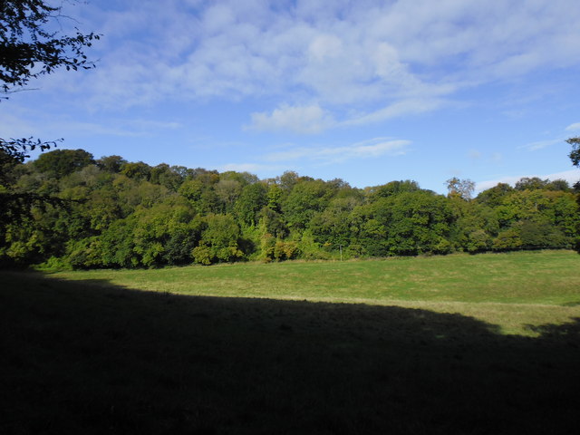 Hawley Hanger in mid october - geograph.org.uk - 3178160