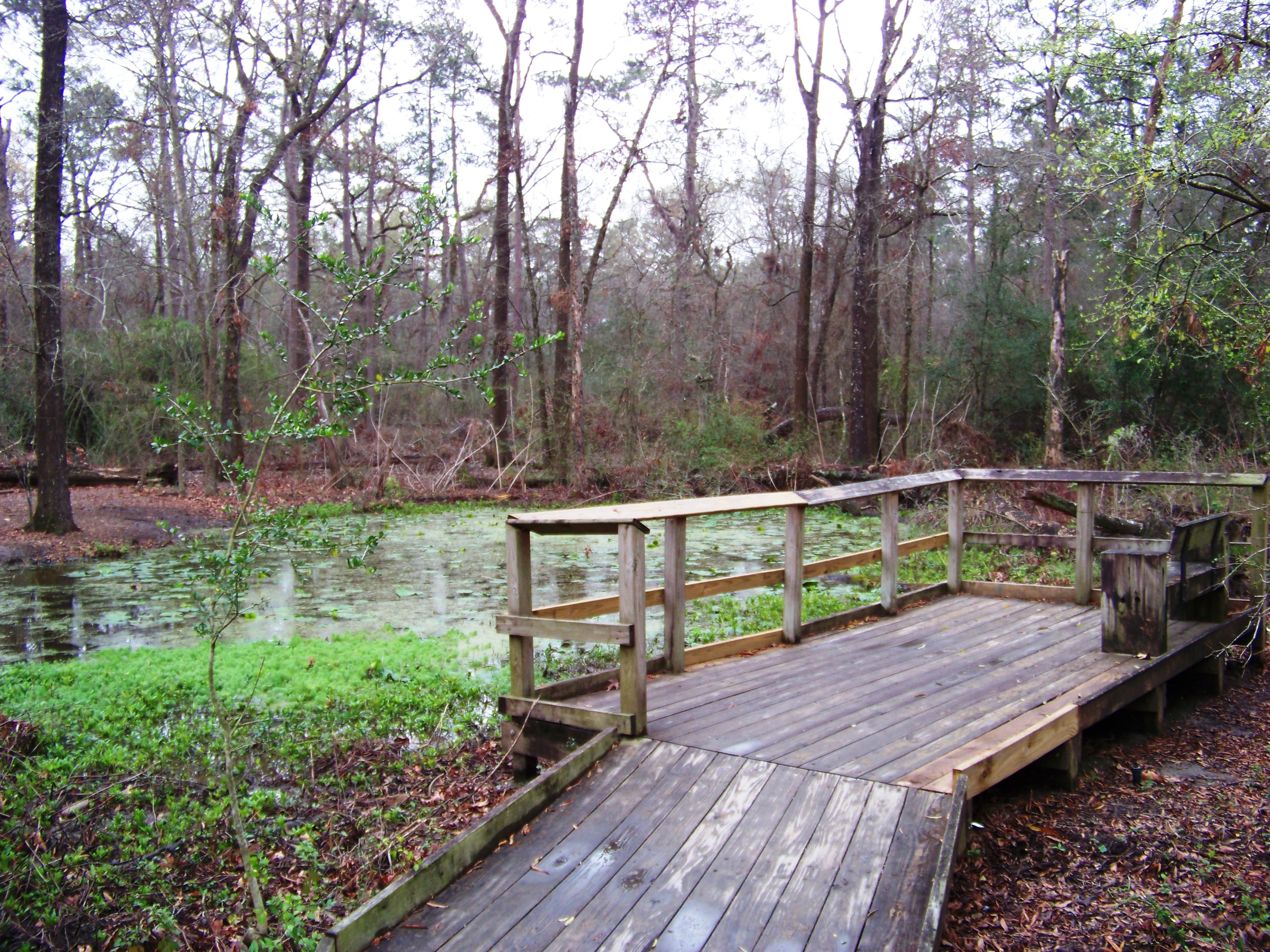 File:Houston Arboretum and Nature Center - panoramio - Idawriter (1).jpg -  Wikimedia Commons