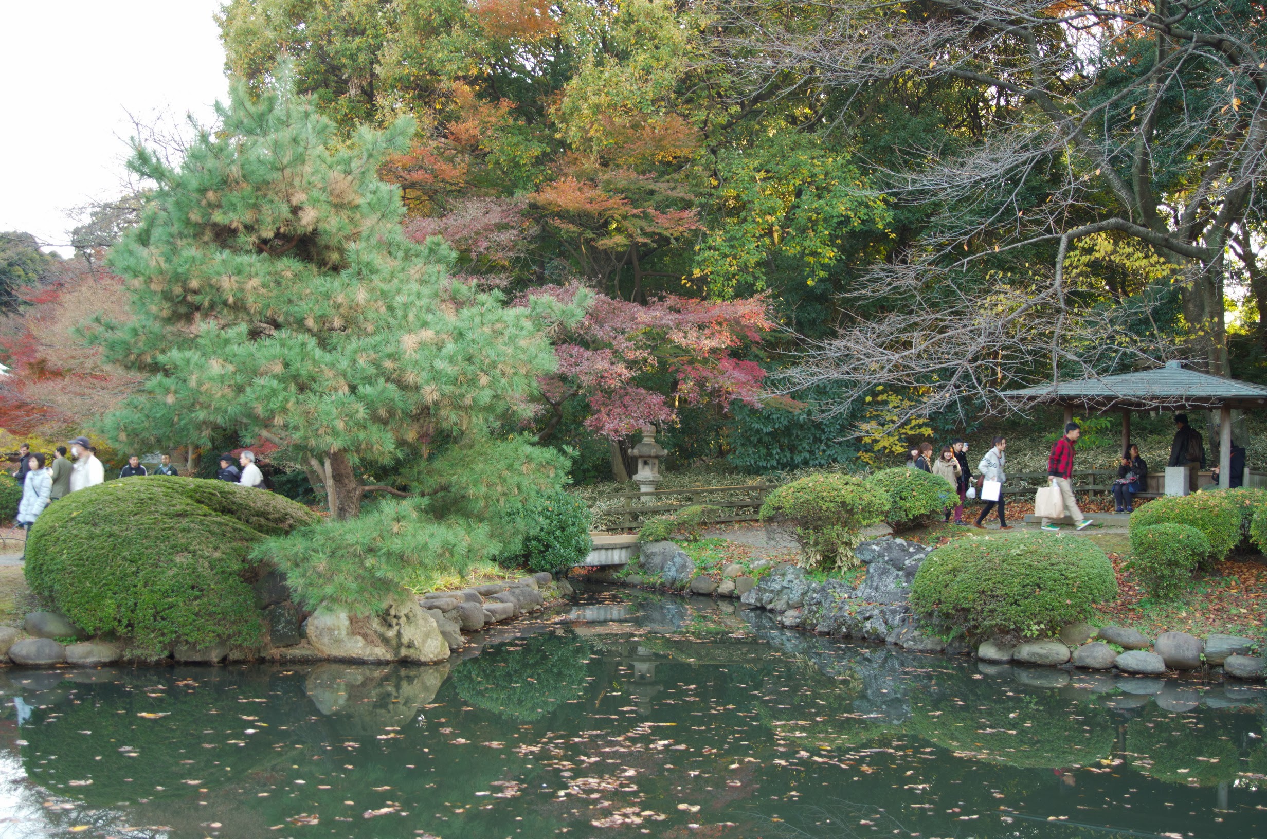 File Japanese Traditional Garden Shinjuku Gyoen Shinjuku Imperial Garden 日本庭園 新宿御苑 Panoramio 1 Jpg Wikimedia Commons