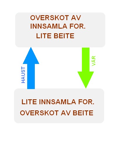 File:LEIGEFE.jpg