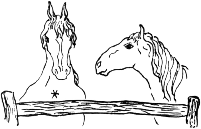 File:Letters from England, Horses2.jpg