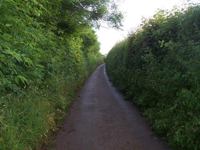 File:Mid Devon , Country Road - geograph.org.uk - 1230432.jpg