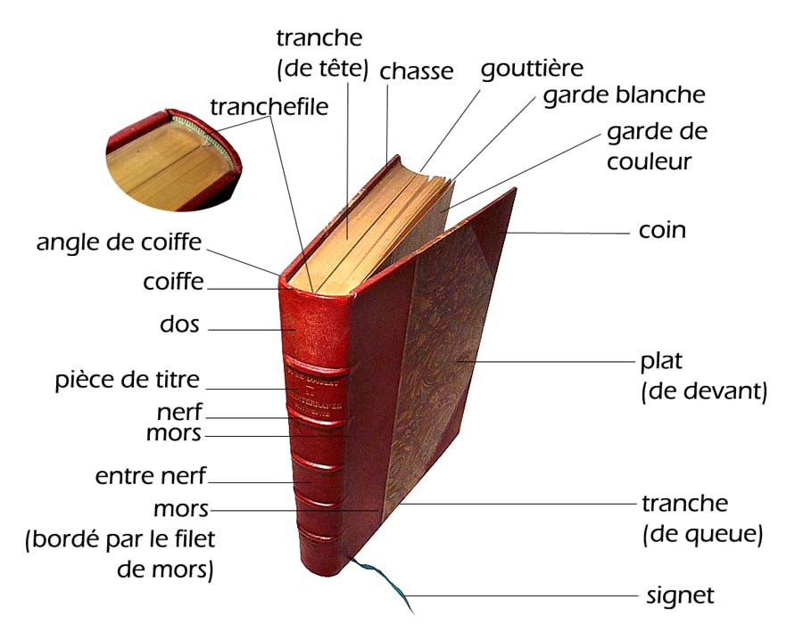 Comparaison des différents types de reliure