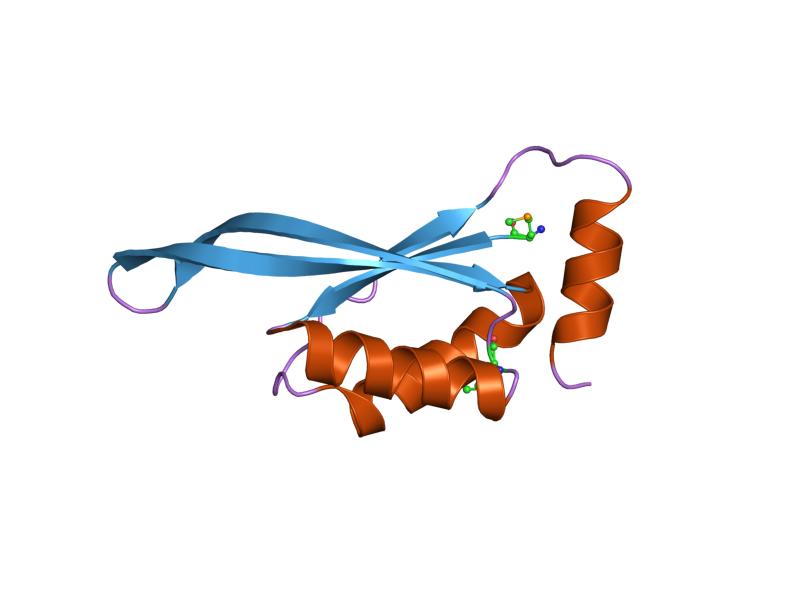 PDB_1j2v_EBI.jpg