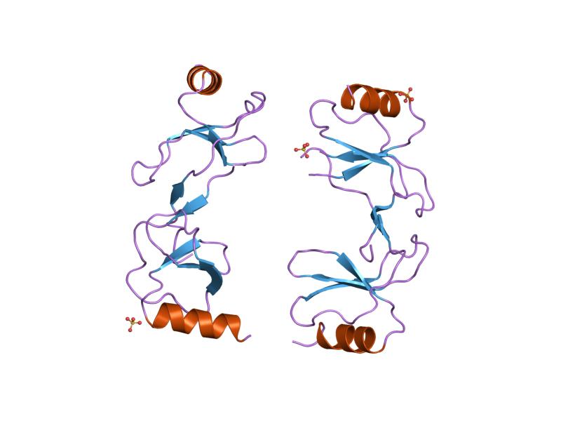 File:PDB 1u4r EBI.jpg