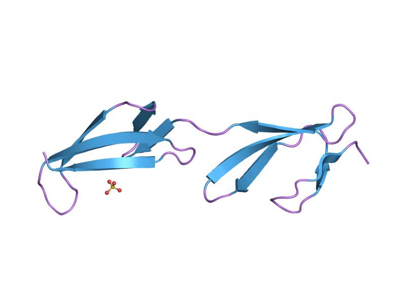 File:PDB 2cg6 EBI.jpg