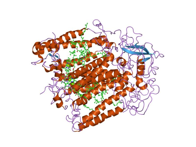 File:PDB 2rcr EBI.jpg