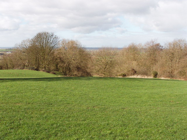 File:Pasture and Noke Wood - geograph.org.uk - 351027.jpg