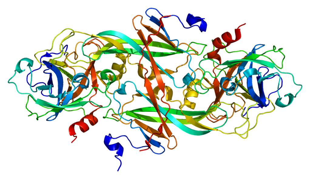 Equine Dentistry  Elsevieron VitalSource