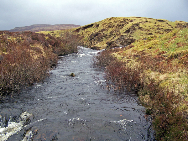 File:River Horneval - geograph.org.uk - 1224468.jpg