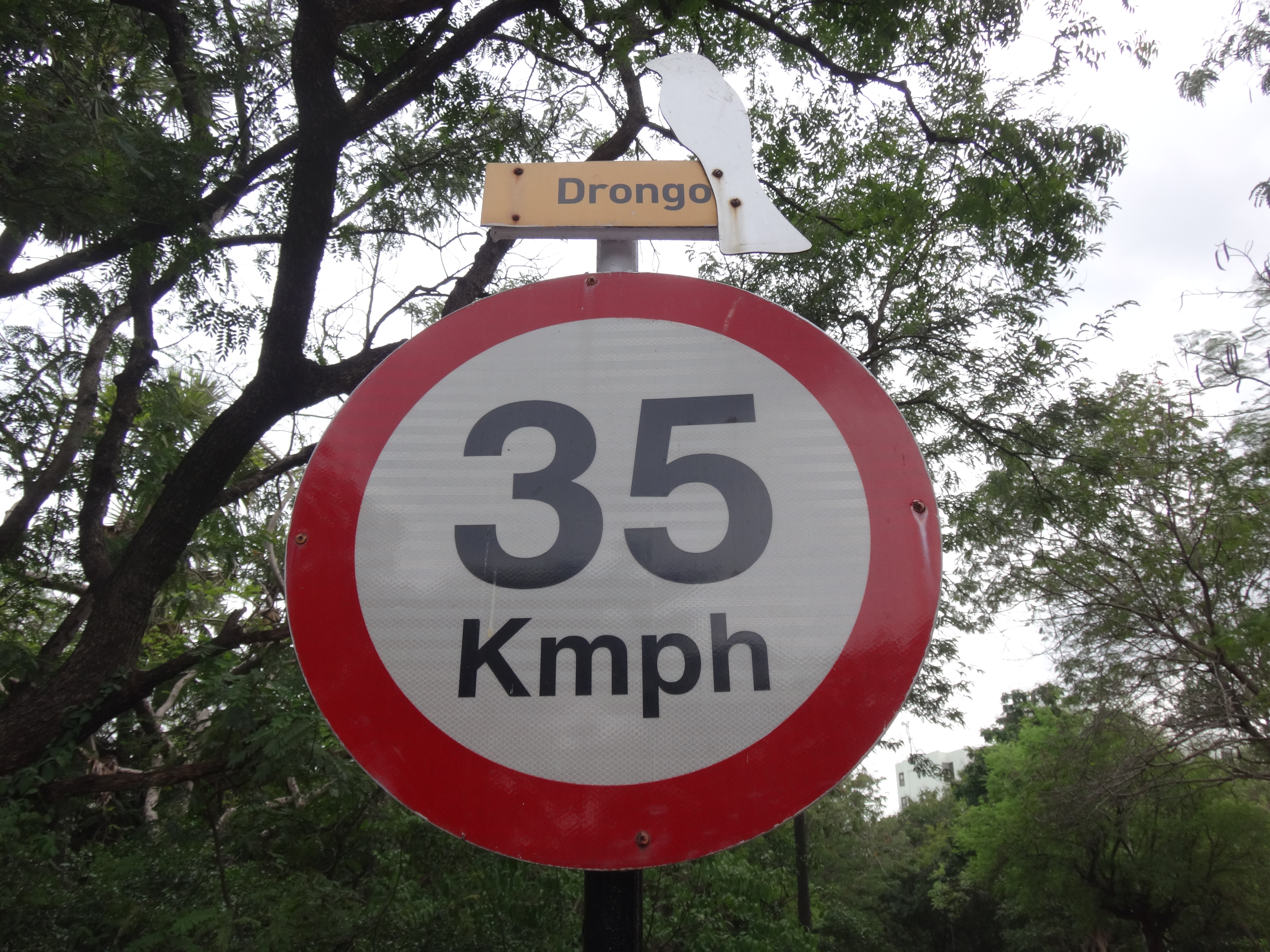 speed limit 35 road sign