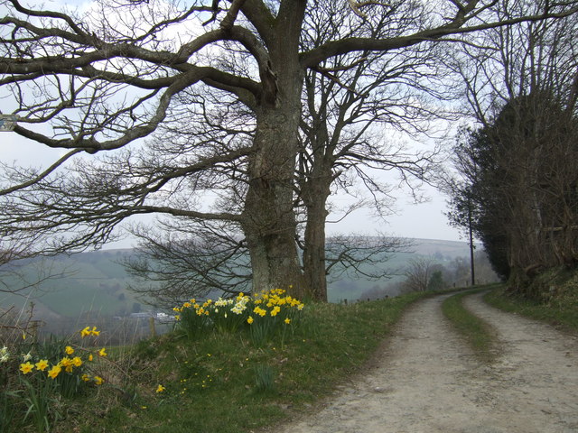 File:Road to Pen-twyn - geograph.org.uk - 489629.jpg