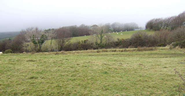 File:Sheep pastures - geograph.org.uk - 623070.jpg