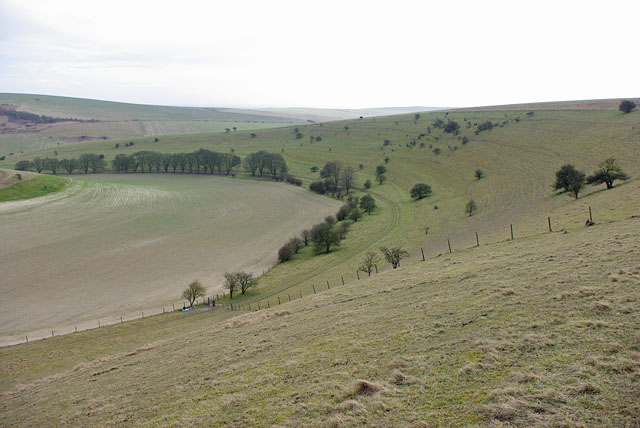 South slopes, Standean Bottom - geograph.org.uk - 1727929