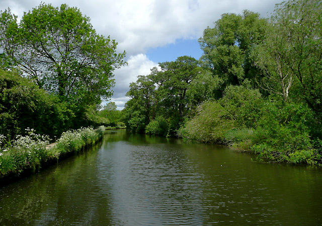 File:Staffordshire and Worcestershire Canal at Coven Heath, Staffordshire - geograph.org.uk - 1360289.jpg