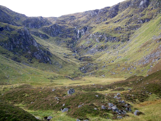 Corrie Fee