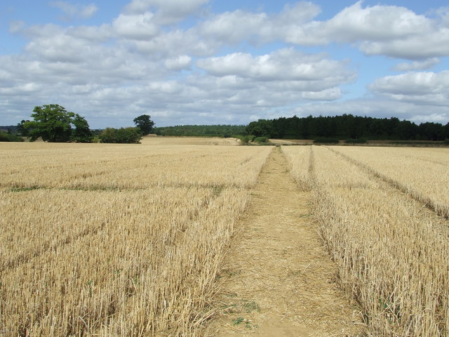 File:The Crops Have Gone - geograph.org.uk - 1470424.jpg