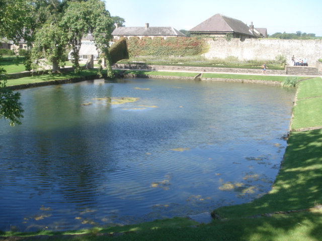 File:The Pool Garden - geograph.org.uk - 536765.jpg