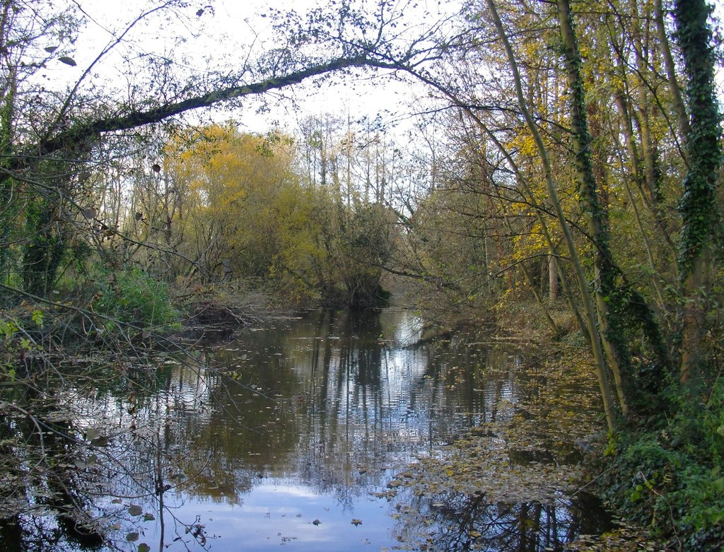 River Ash, Surrey