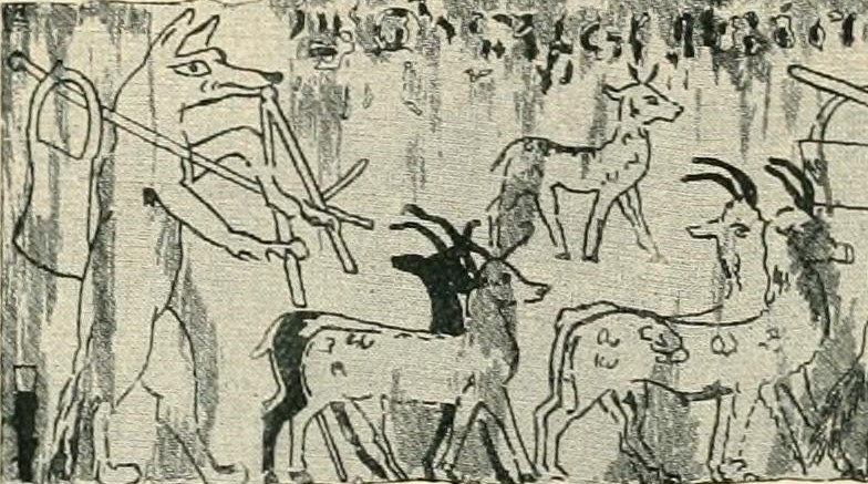 File:The struggle of the nations - Egypt, Syria, and Assyria (1896) African wolf.jpg