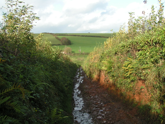 File:Track heading to Trinity, nearly back on the tarred lane - geograph.org.uk - 1583010.jpg