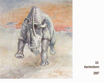 Vidéo b : Rhinocéros attaquant au coucher du soleil ou non?, les couleurs changent quand le spectateur se déplace, technique « caméléon » (art cinétique), 2007, 100 × 100 × 4 cm