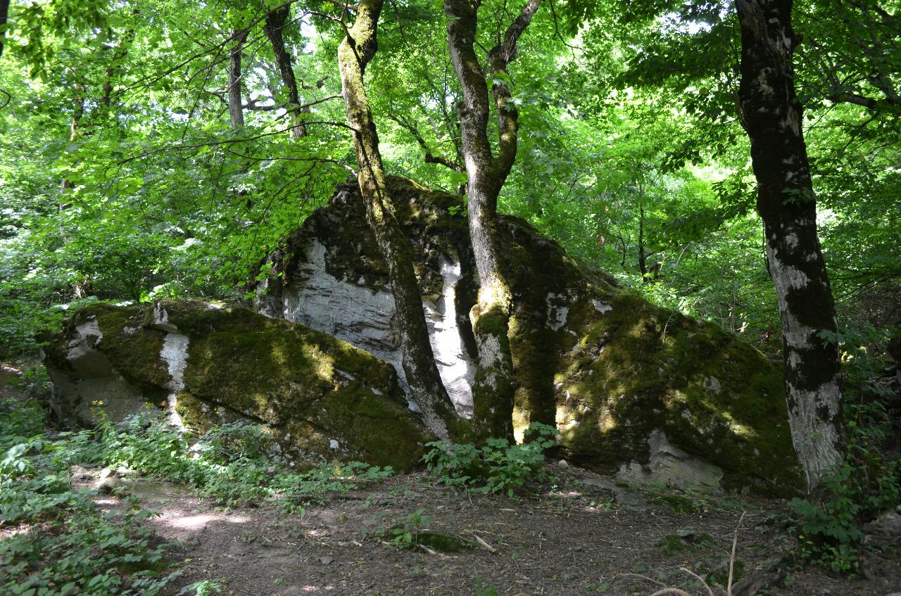 Железноводск терренкур деды