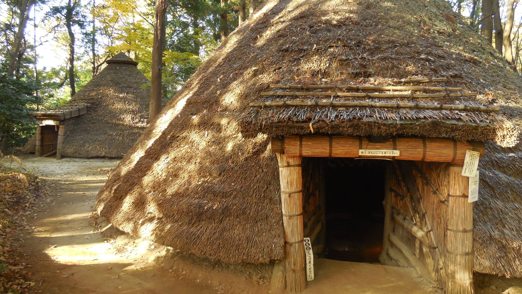 File 縄文時代の住居を再現 Jpg Wikimedia Commons