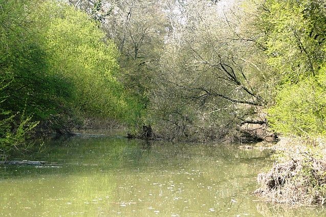 File:Arun journey - geograph.org.uk - 804365.jpg