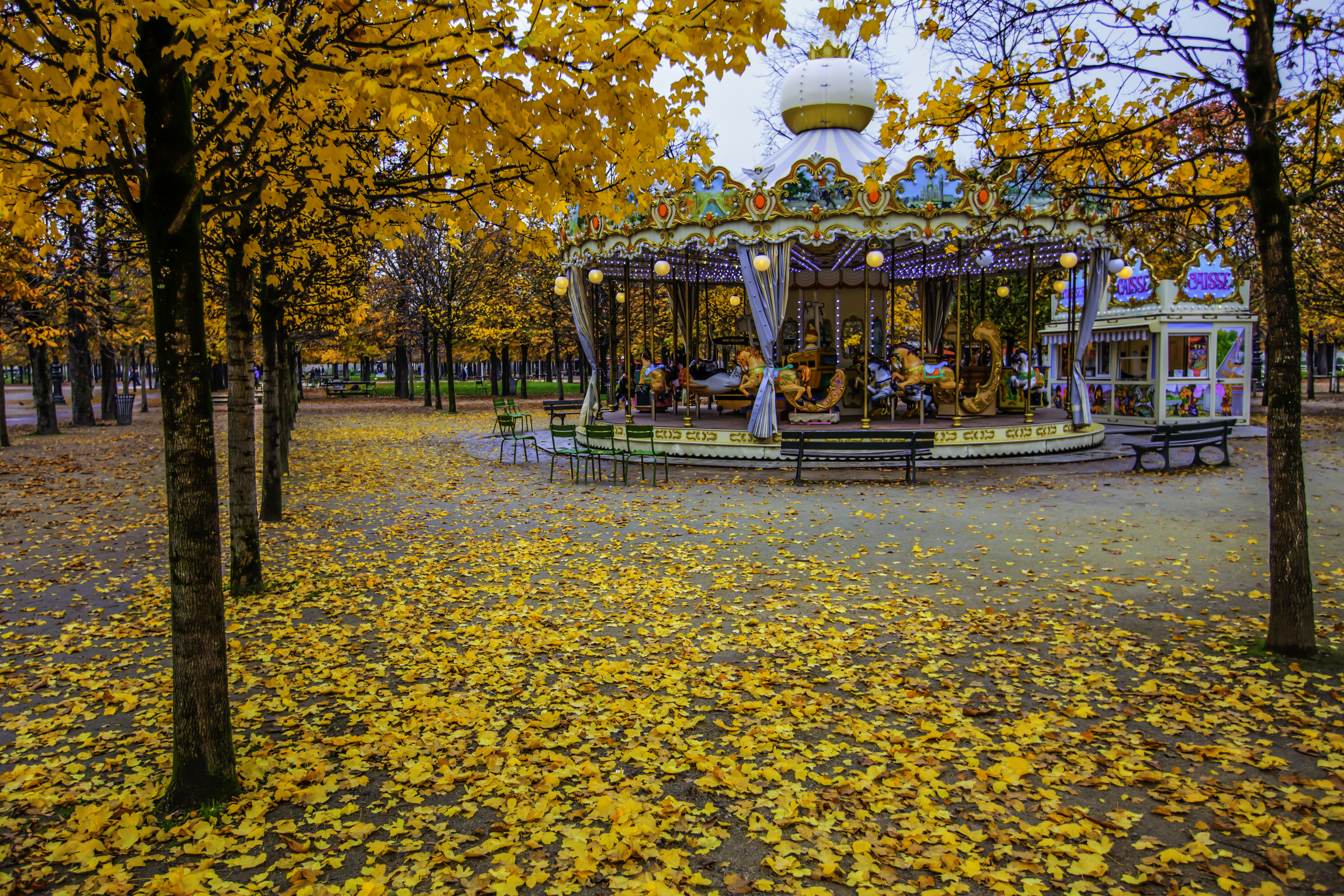 Autumn_Tuileries_Garden,_Paris_13_November_2012.jpg