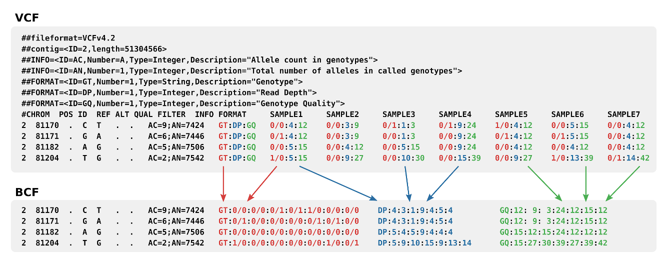 Variant Call Format Wikipedia