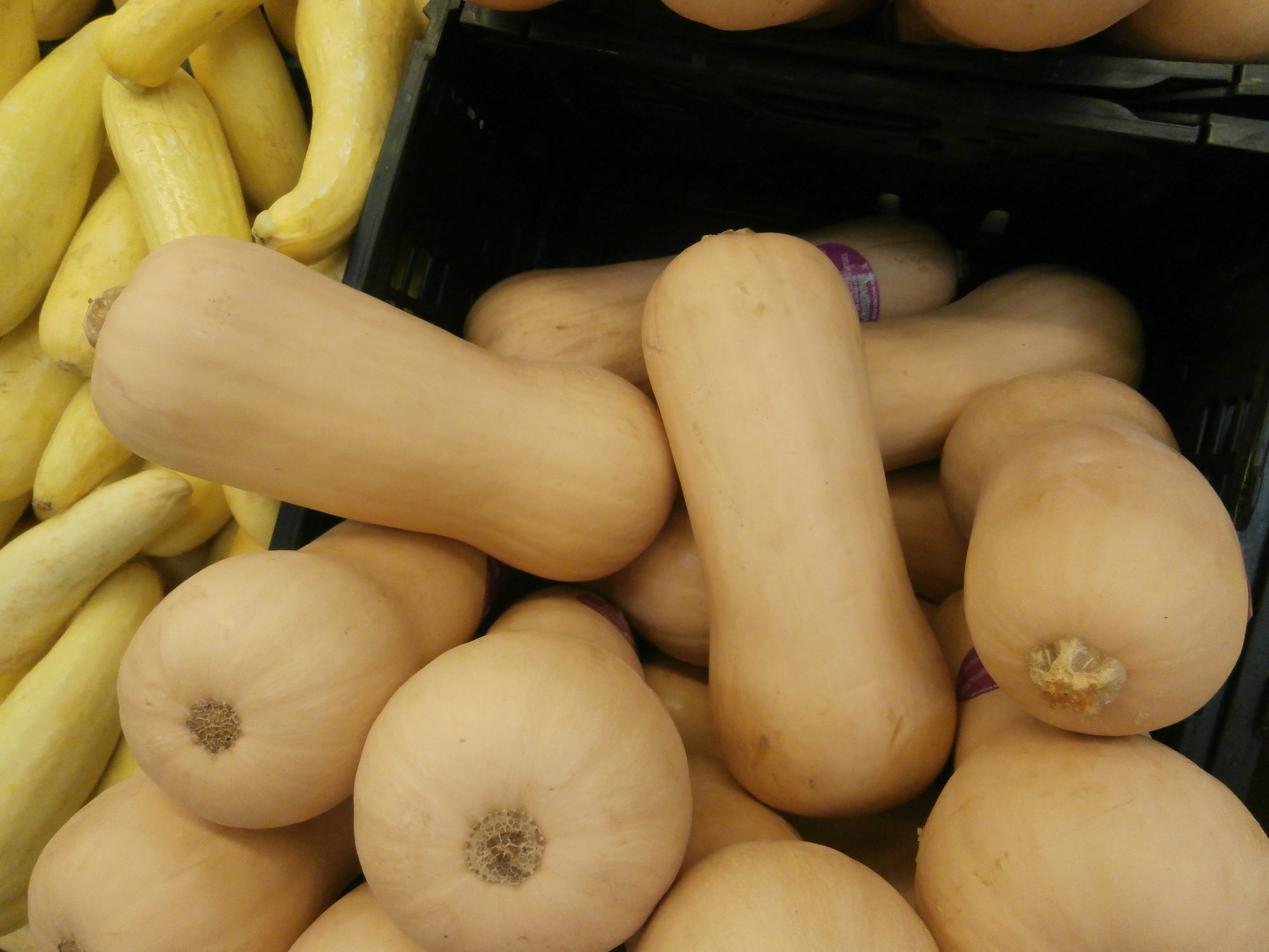 File:Butternut squash in a bin.jpg - Wikimedia Commons