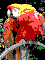 CGA paleti örneği image.png