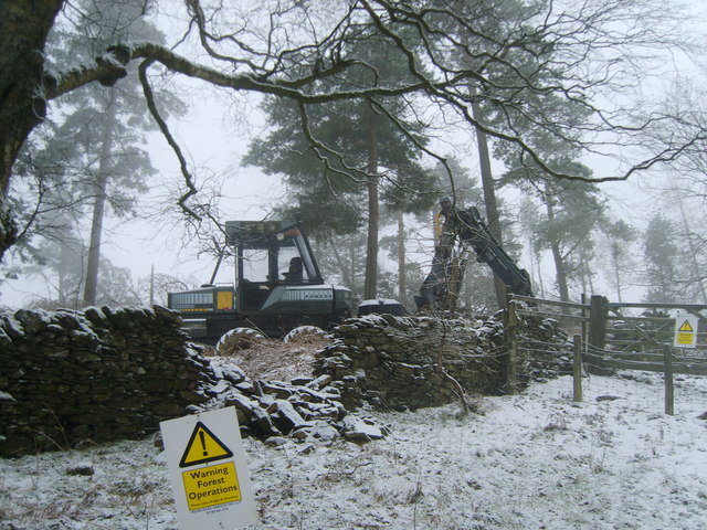 File:Forest Operations - geograph.org.uk - 1161820.jpg