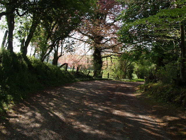 File:Green lane to Marystow - geograph.org.uk - 426891.jpg