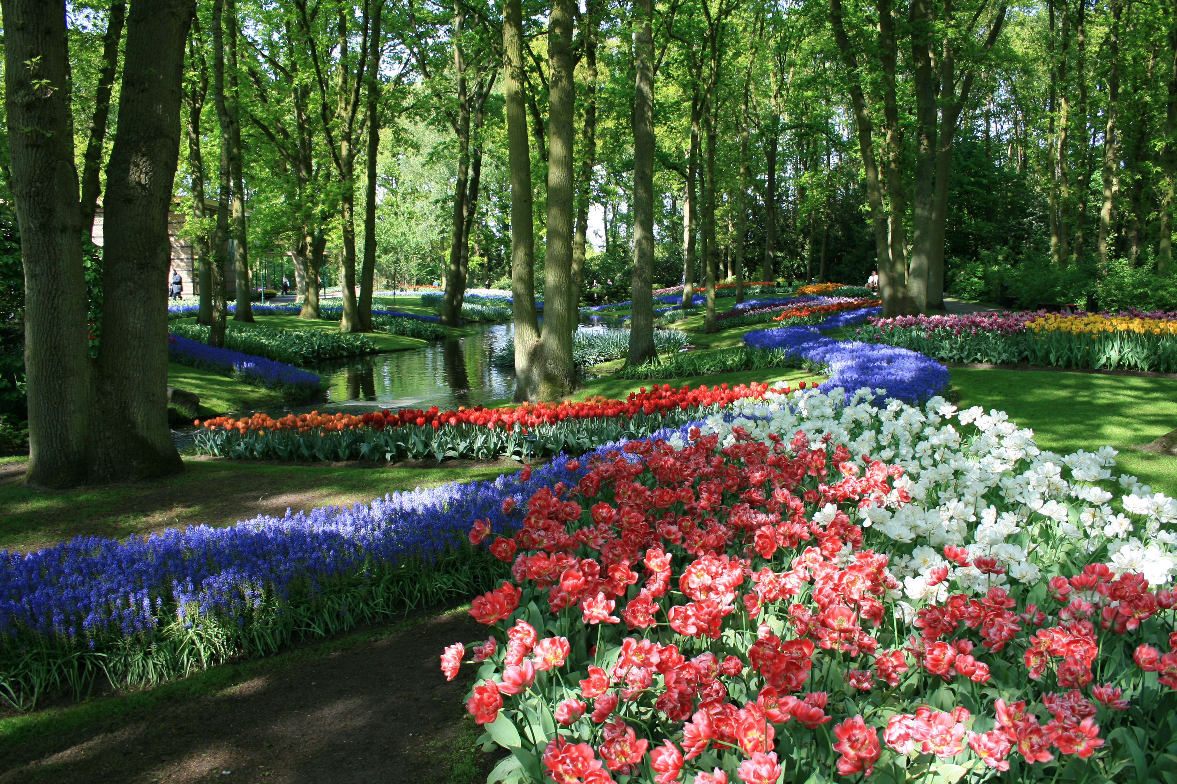 Сад род. Парк «Кекенхоф» (Keukenhof) летом. Флауэрс Гарден парк. Красивые парки с цветами. Красивые цветы для сада.