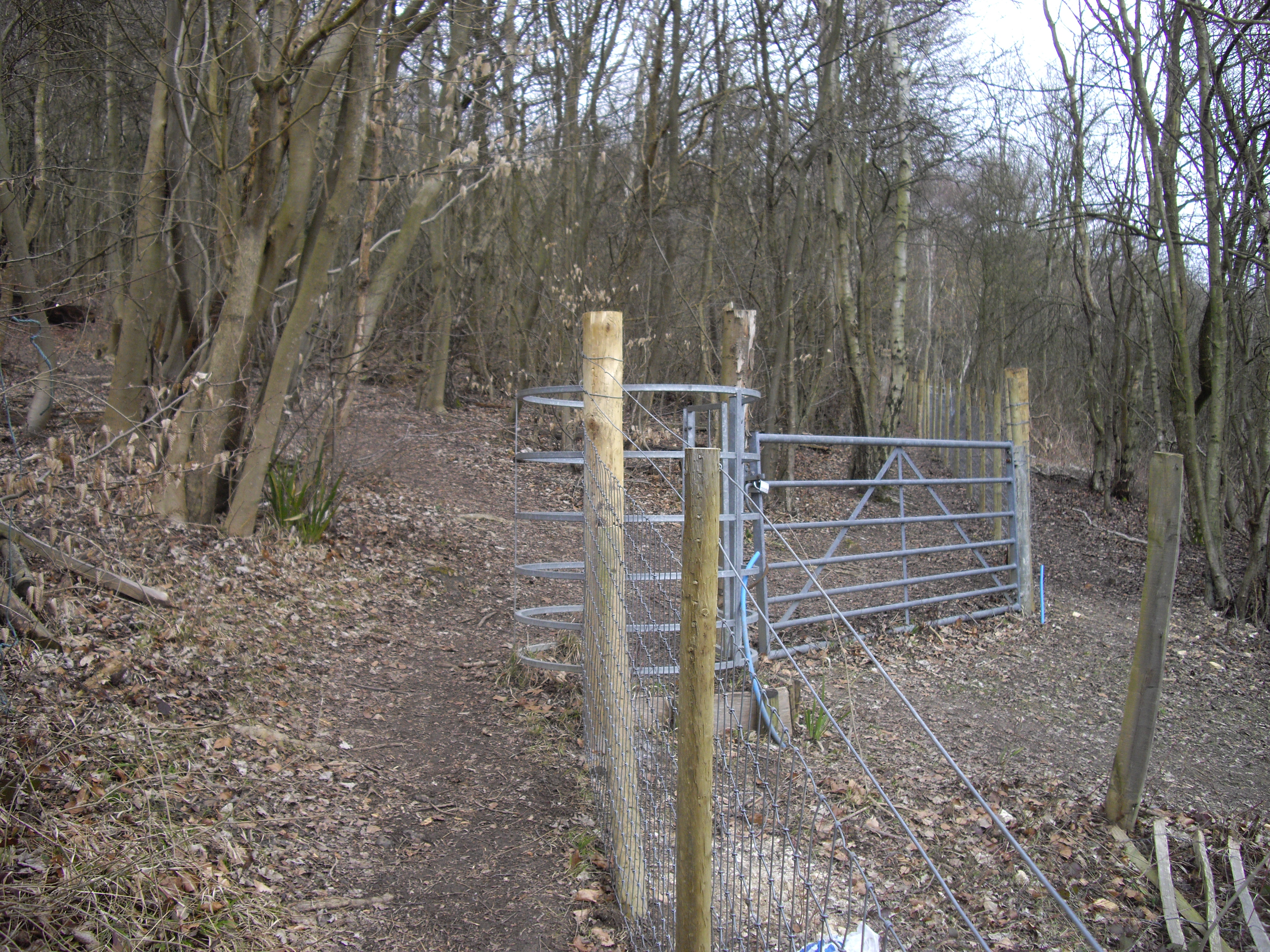 Halling to Trottiscliffe Escarpment