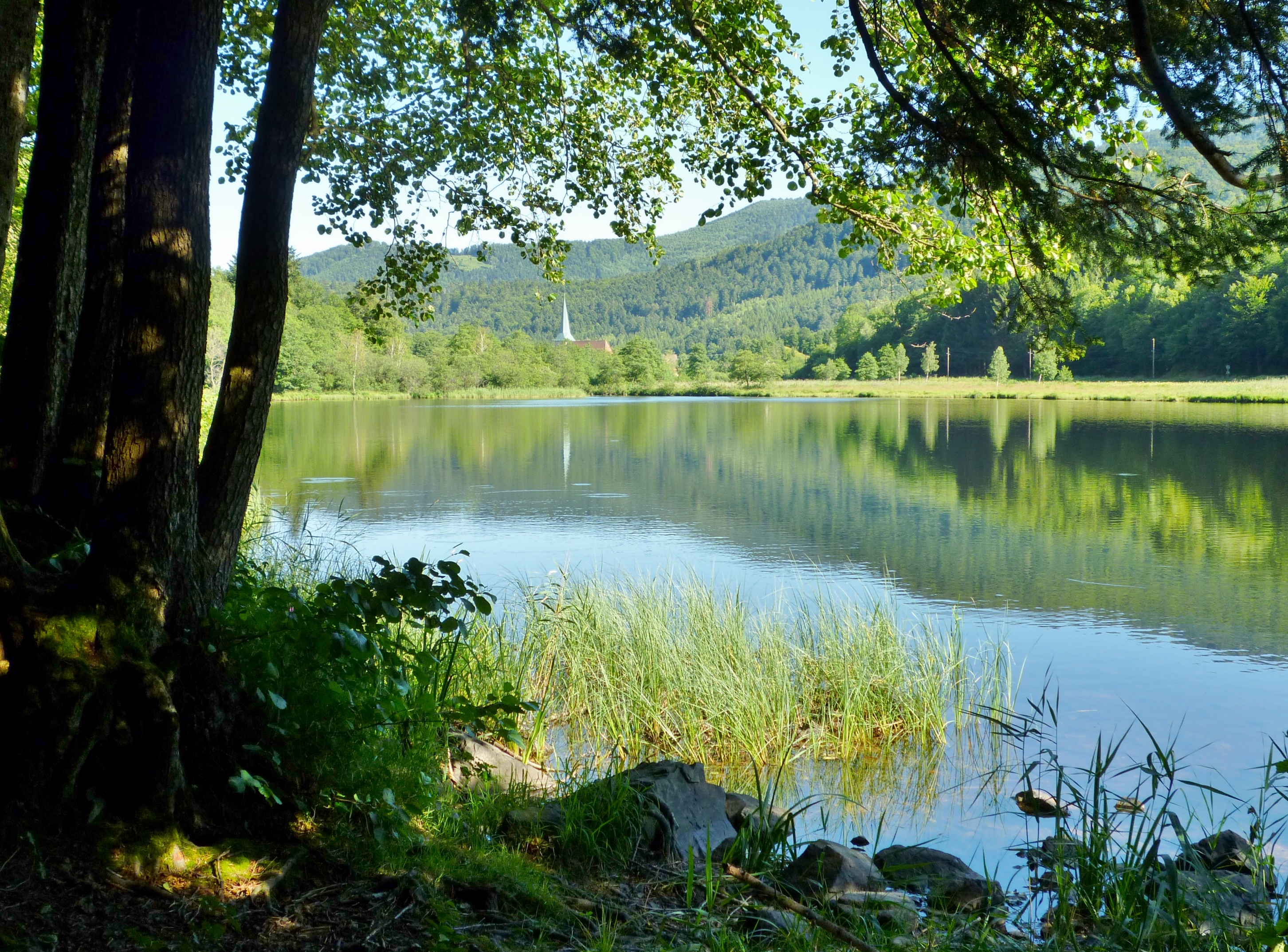 Lac de Sewen  France Grand Est Haut-Rhin Sewen 68290