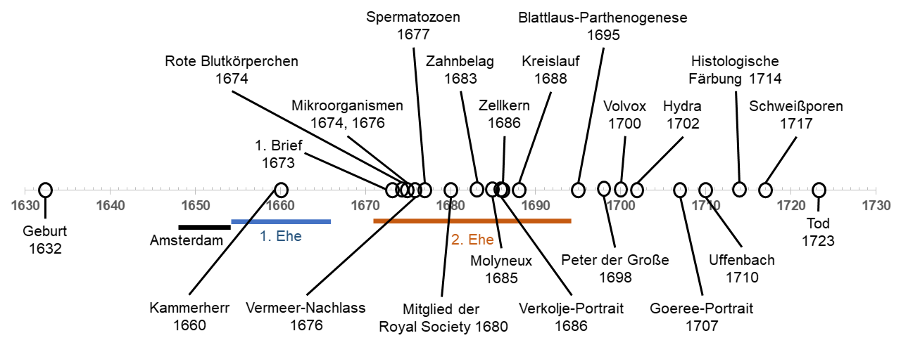 File:leeuwenhoek Zeitstrahl.png - Wikimedia Commons