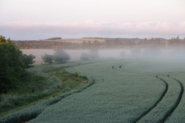 File:Looking South West from Luffness Mains to SW corner of grid square - geograph.org.uk - 200621.jpg