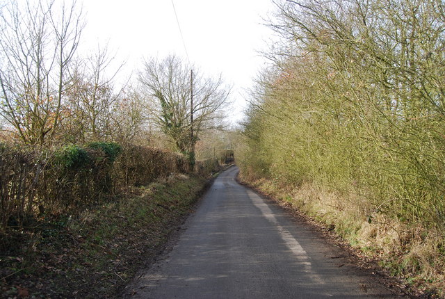 File:Lughorse Lane - geograph.org.uk - 1158534.jpg