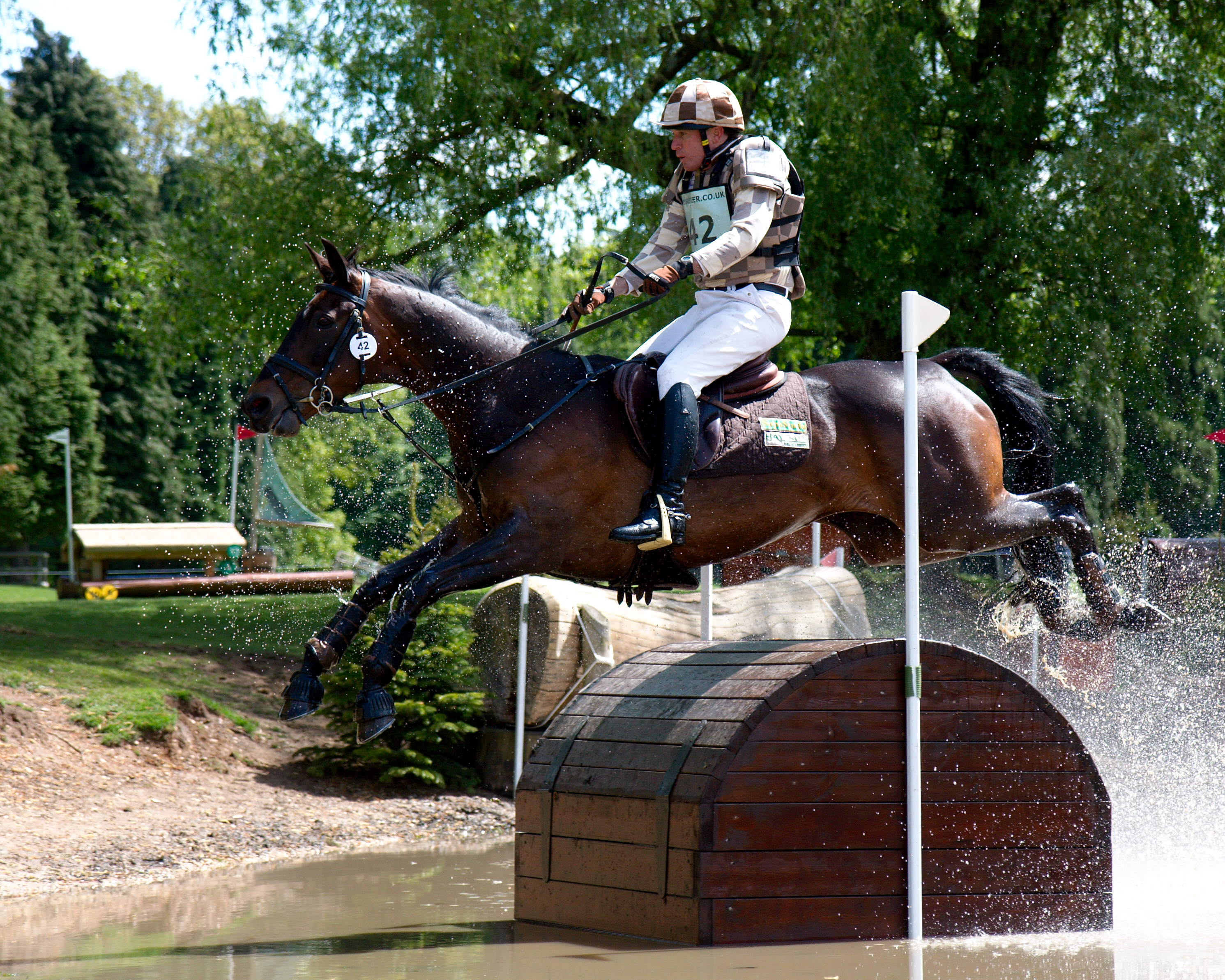 Equestrian Sports at the Olympics.