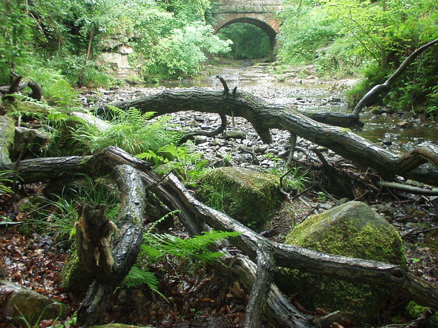 May Beck above Falling Foss, Sneaton Forest - geograph.org.uk - 267558