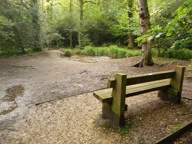 Merley, bench in Delph Woods - geograph.org.uk - 1417764