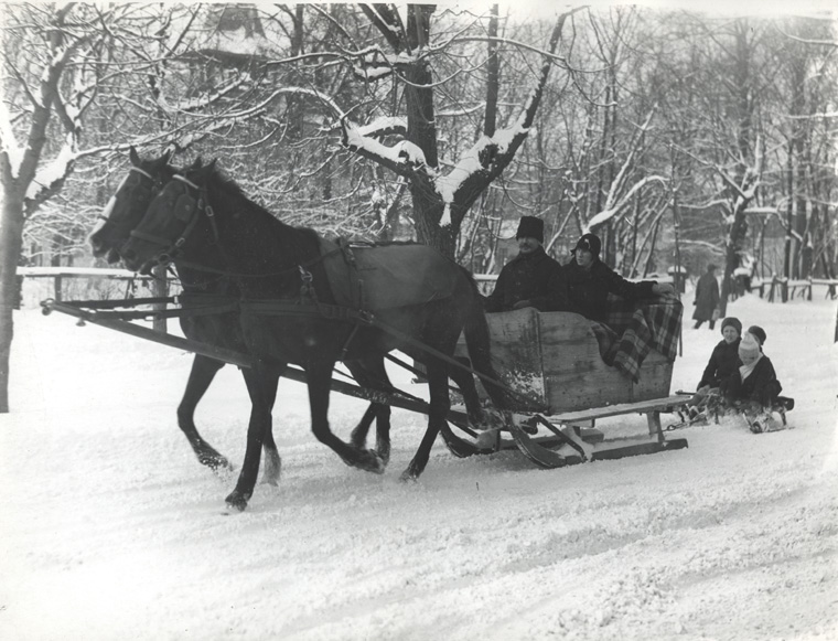 File:Nicolae Ionescu - Sledge on the Road.jpg