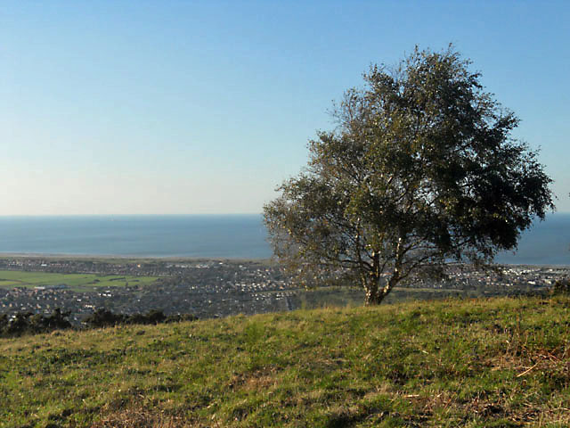 File:On the edge - geograph.org.uk - 2631423.jpg