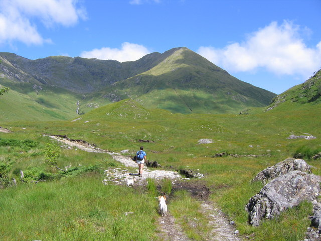 File:Track up Gleann Dubh Lighe - geograph.org.uk - 203034.jpg