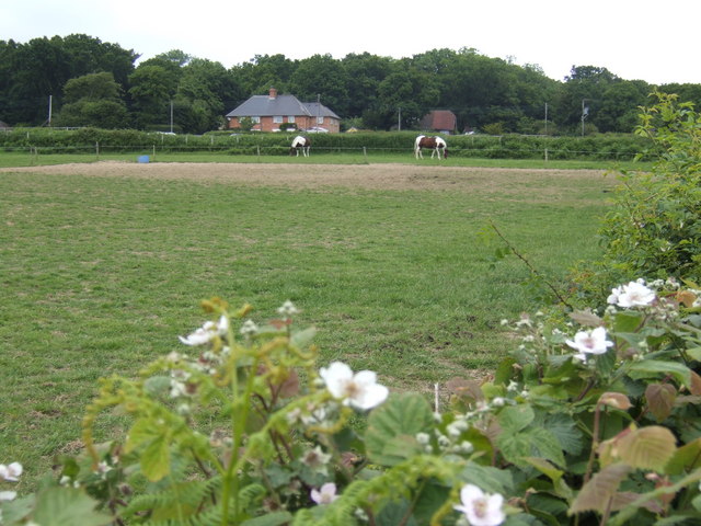 File:Twisly paddocks - geograph.org.uk - 461115.jpg