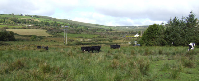 Western County Limerick - geograph.org.uk - 581651