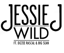 Logo del disco Wild
